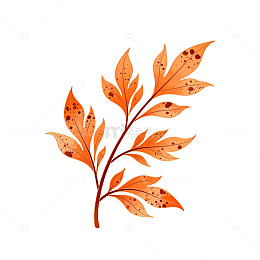 秋季橙红枝叶插画素材