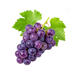 紫色葡萄新鲜水果特写