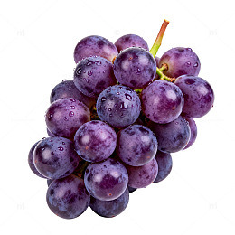 紫色葡萄特写素材
