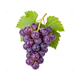 紫色葡萄新鲜水果特写图片