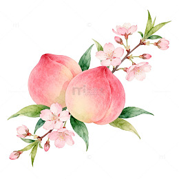 水彩桃子樱花装饰画
