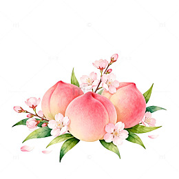 水彩桃子花卉装饰图案设计素材