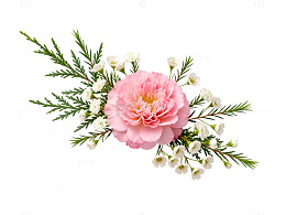 精致花卉装饰图案设计素材