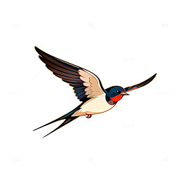 卡通燕子飞翔插画