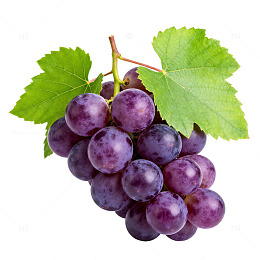 透明背景紫色葡萄插画素材