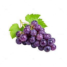 透明背景葡萄插画设计素材