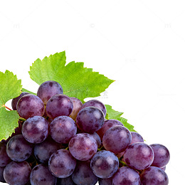 葡萄特写水果