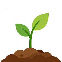 简约风幼苗生长插画