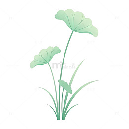 简约风植物插画荷叶图案