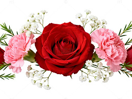 花卉装饰设计素材