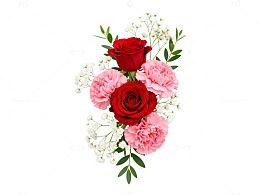 浪漫花卉组合设计素材