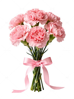 粉色康乃馨花束矢量图