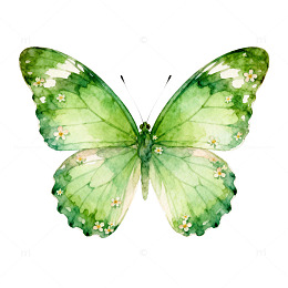 绿色蝴蝶水彩画