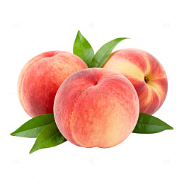 新鲜桃子水果插画素材