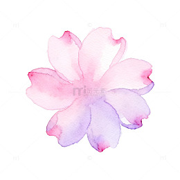 水彩花瓣花卉装饰图案