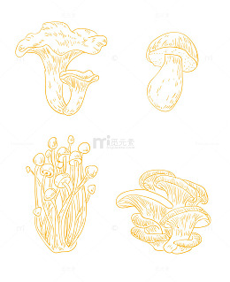 线描蘑菇手绘插画素材
