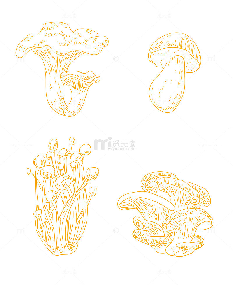 线描蘑菇手绘插画素材
