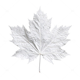 缤纷秋叶舞动的诗意画卷