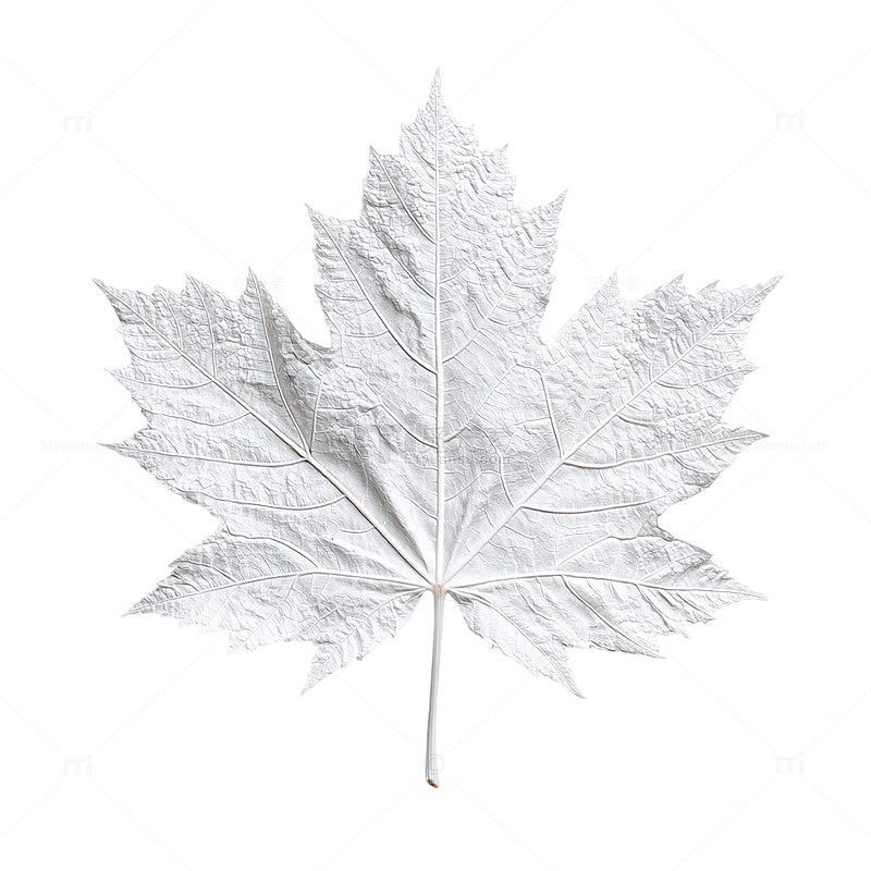 缤纷秋叶舞动的诗意画卷