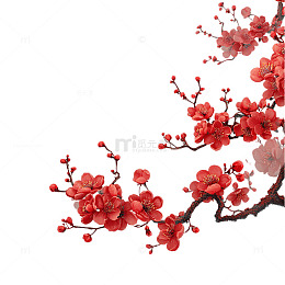 绽放在寒冬里的红色希望