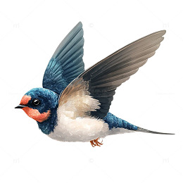 飞翔的蓝色梦想之翼