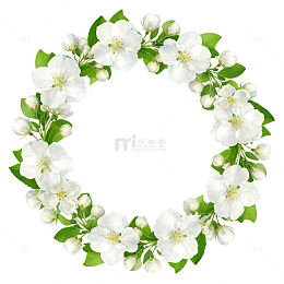 花环鲜花白色花朵绿叶