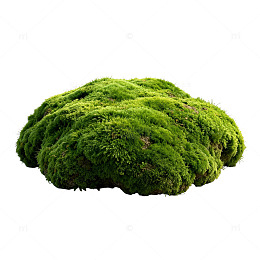 绿色苔藓球装饰景观素材