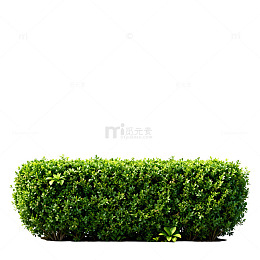 简约绿篱景观装饰素材