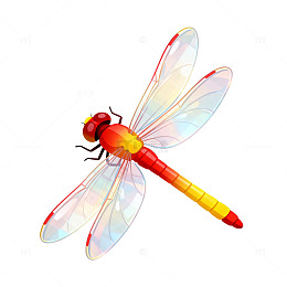 透明翼蜻蜓卡通插画
