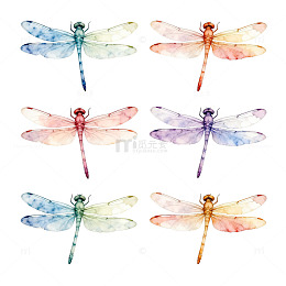 水彩蜻蜓图案设计素材