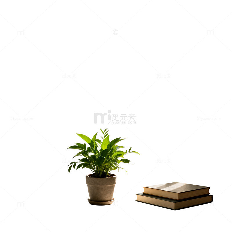 简约风窗台植物书籍