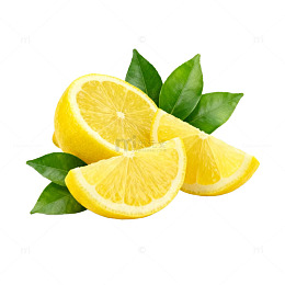柠檬切片矢量图