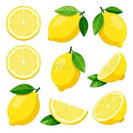 柠檬插画素材集