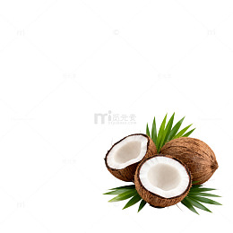椰香热带风情素材