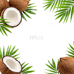 热带风情椰子绿叶装饰素材