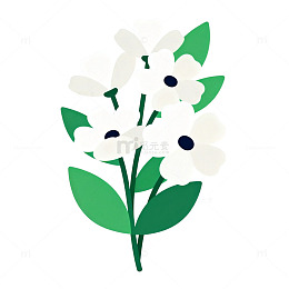 简约风白花插画设计元素