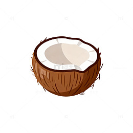 卡通椰子插画设计元素