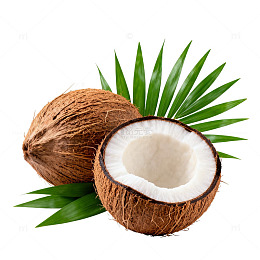 椰子特写透明背景图