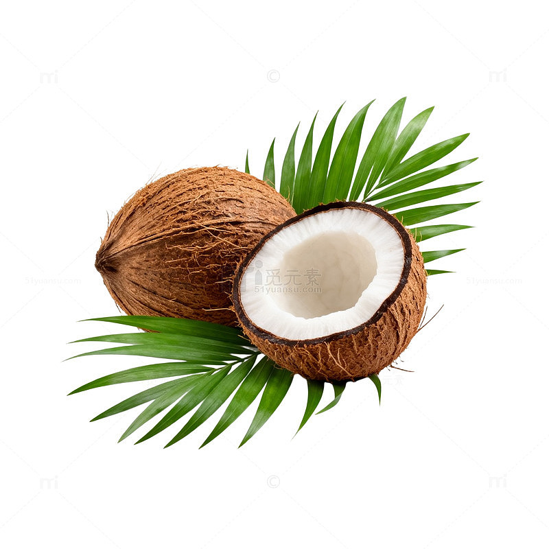 椰果绿叶自然插画