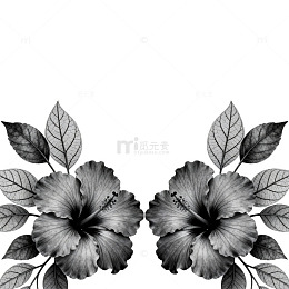 黑白花卉装饰图案设计素材