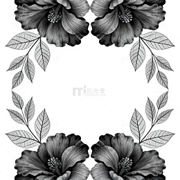黑白花卉边框设计素材