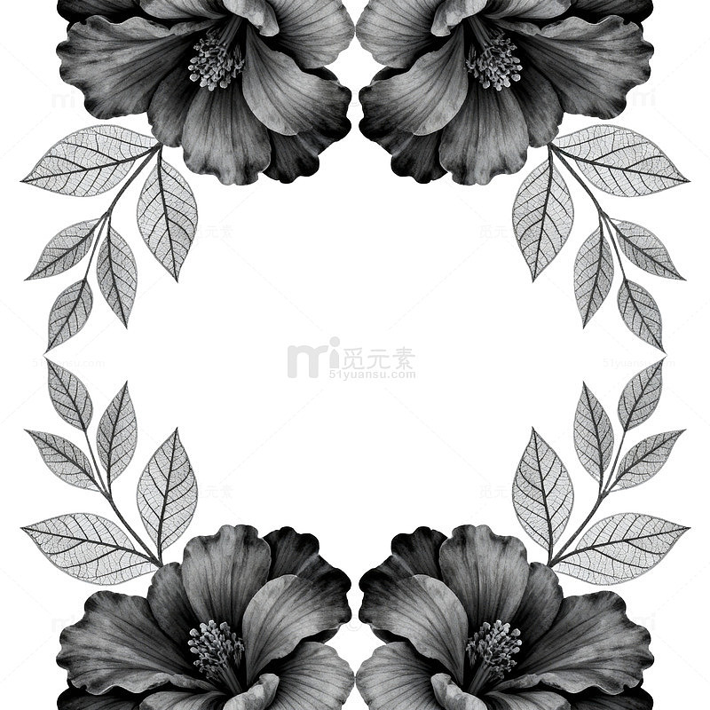 黑白花卉边框设计素材