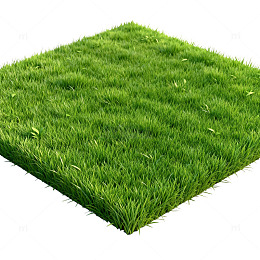 鲜绿草坪3D模型设计素材