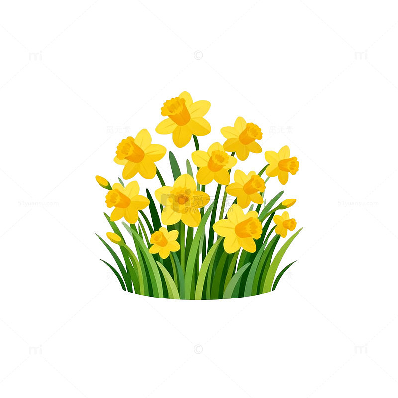 卡通风格水仙花矢量图