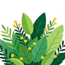 绿色植物插画设计元素