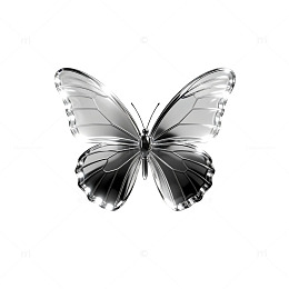 透明蝴蝶矢量图案