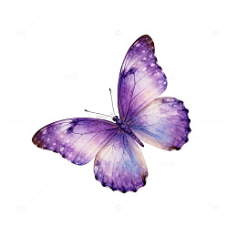 紫色蝴蝶水彩画素材