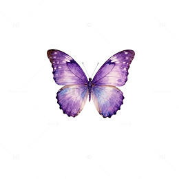 紫色蝴蝶插画设计素材