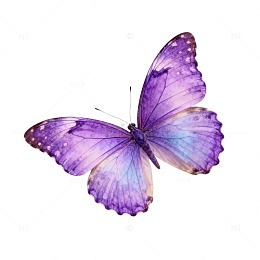 紫蝶飞舞艺术插画