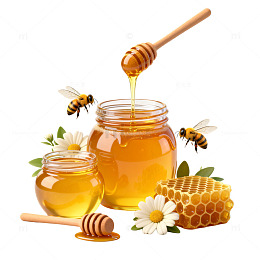 蜂蜜蜂巢插画素材